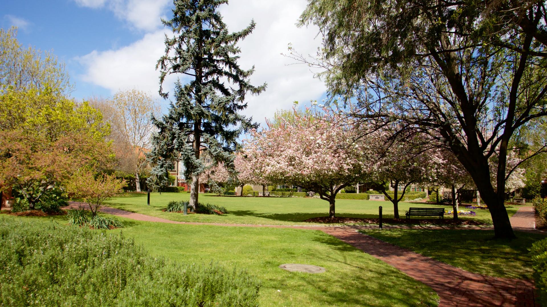 Springtime at Ardoch