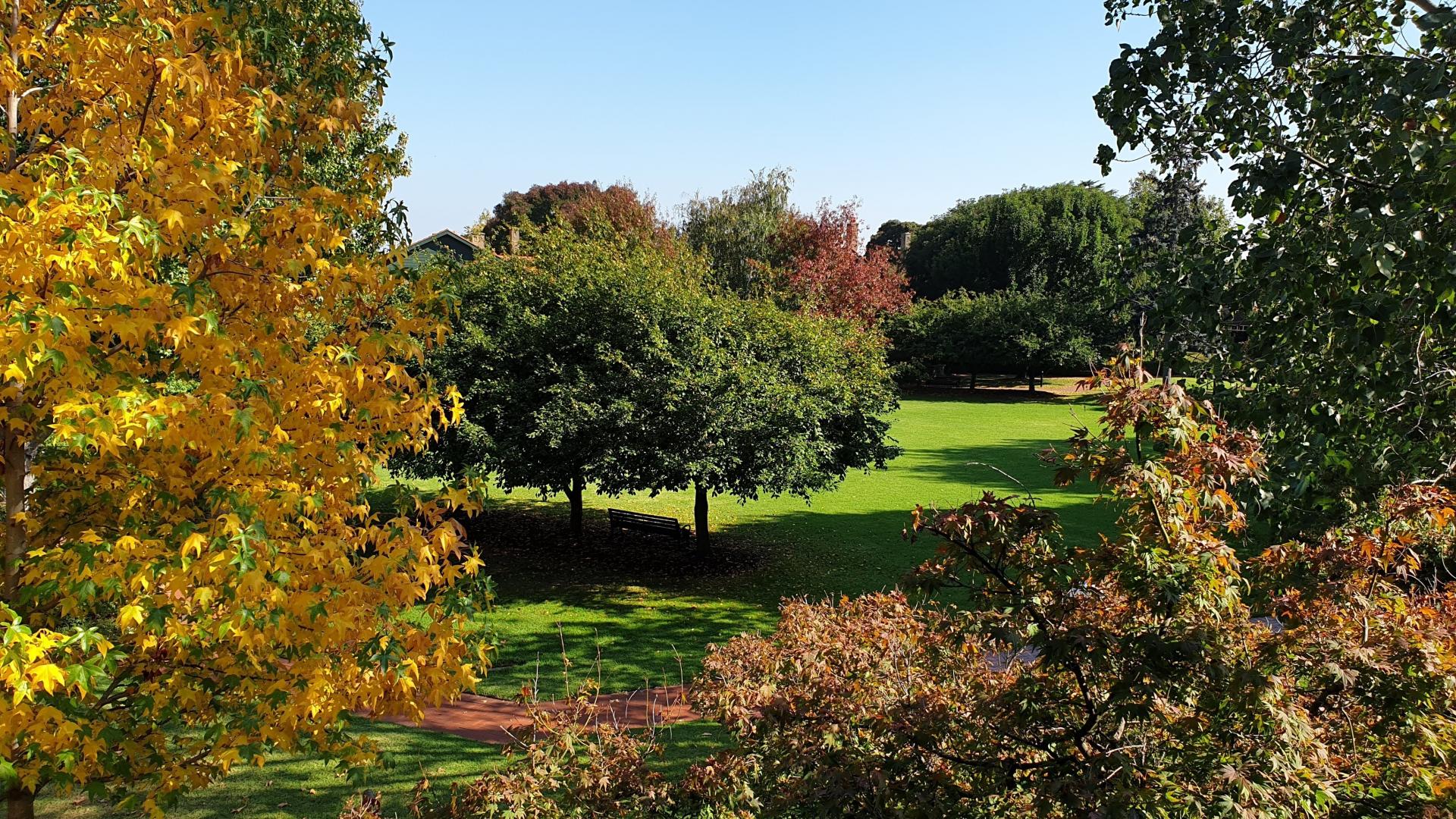 Autumn at Ardoch