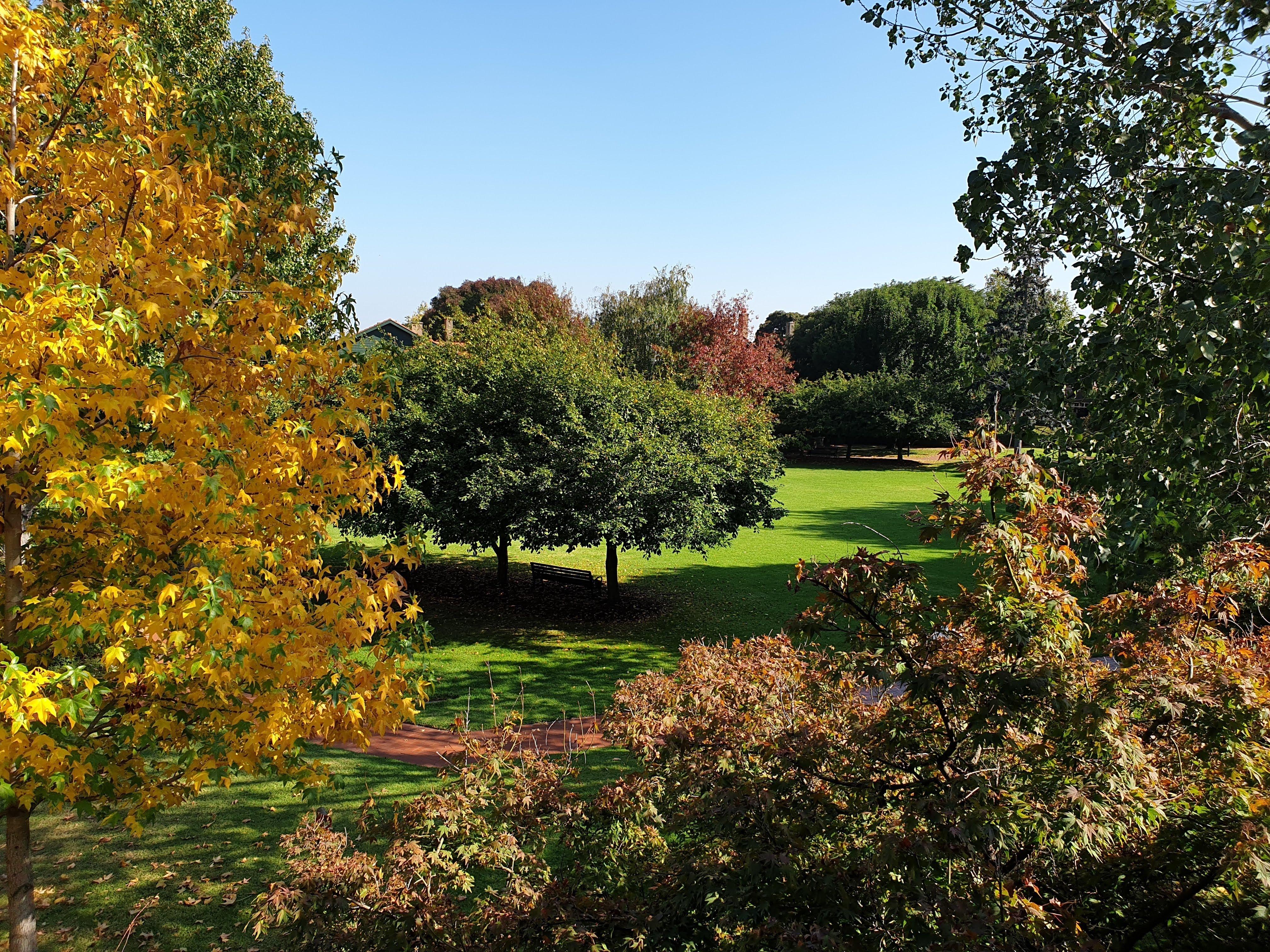 Overlooking the Green