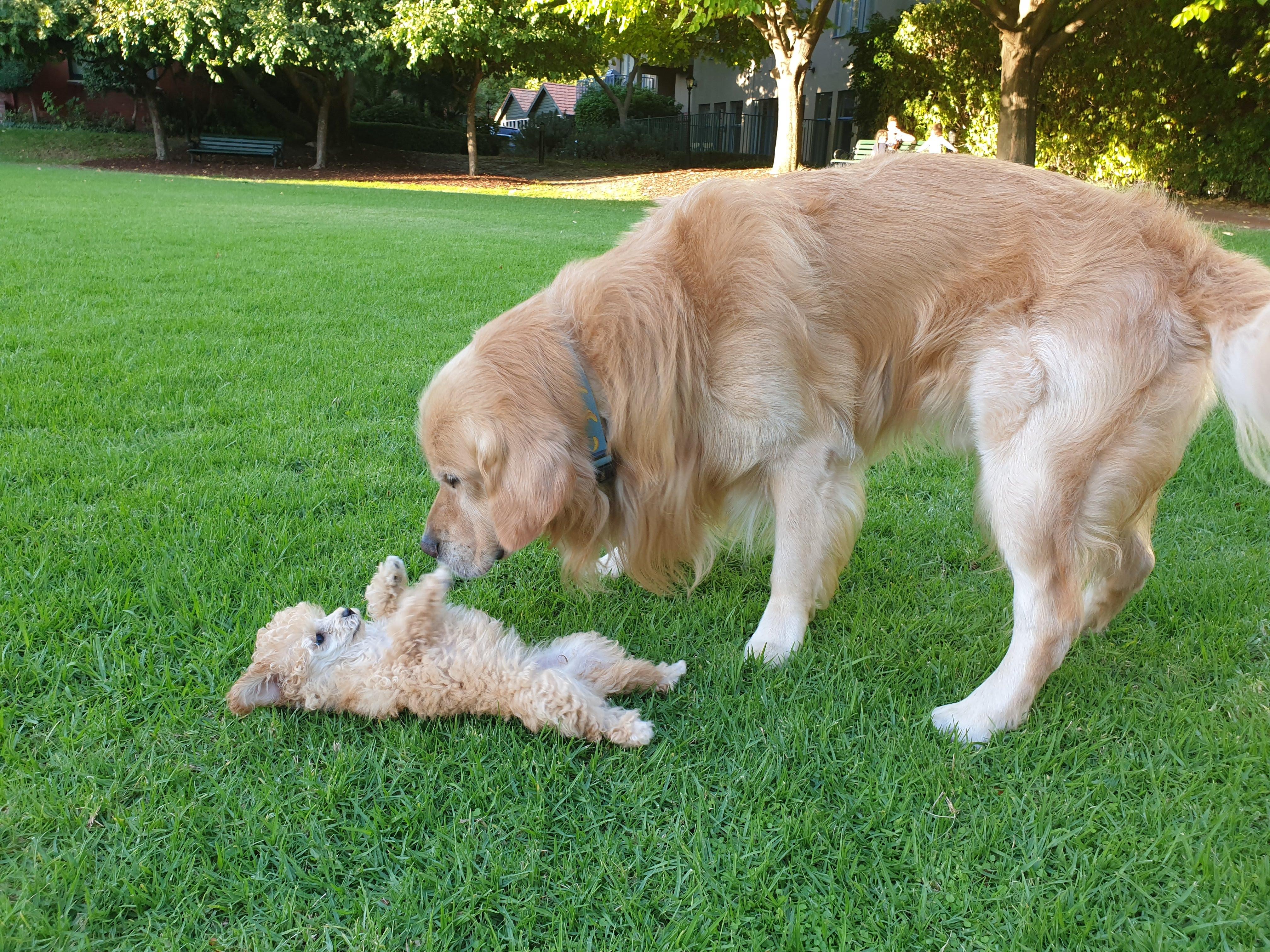 Charlie and Jack